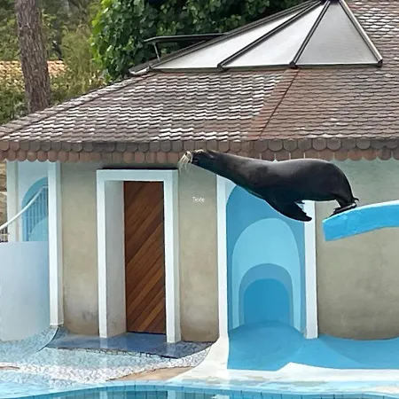 Charming Eco-lodge With Heated Pool And Jacuzzi Year Round In Charente-marit Les Mathes