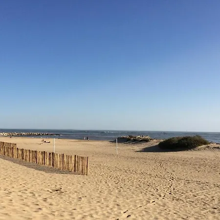 Gæstehus Charming Eco-lodge With Heated Pool And Jacuzzi Year Round In Charente-marit