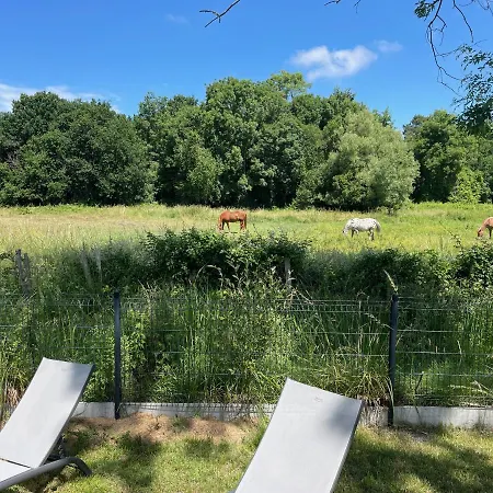 Pensión Charming Eco-lodge With Heated Pool And Jacuzzi Year Round In Charente-marit Les Mathes