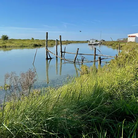 Maison d'hôtes Charming Eco-lodge With Heated Pool And Jacuzzi Year Round In Charente-marit Les Mathes